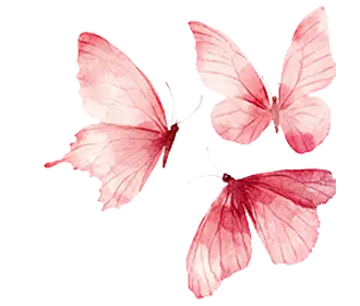 Pink butterflies representing aesthetics and beauty in design
